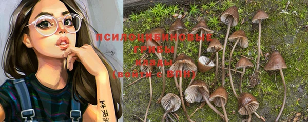 mdpv Михайловск