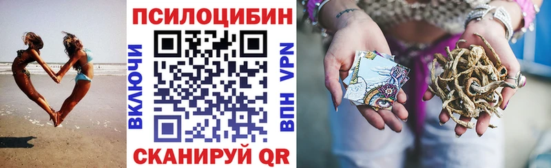 Купить  Кемерово  Галлюциногенные грибы мухоморы 