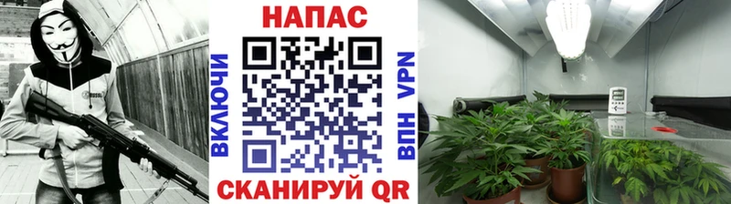 Купить закладки  Кемерово  Бошки Шишки White Widow 